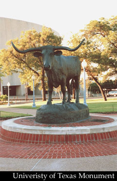 University of Texas Longhorn by Duke Sundt