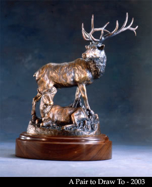 A Pair to Draw To by Duke Sundt