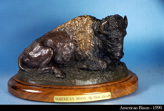 American Bison by Duke Sundt